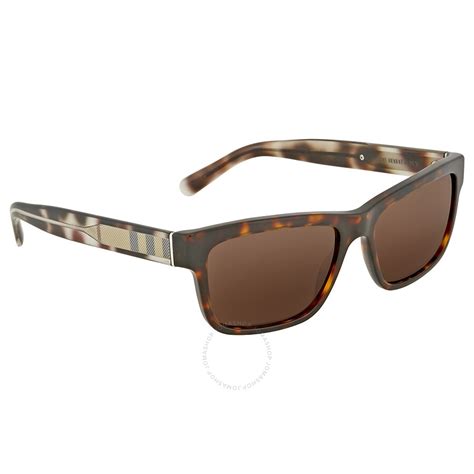 burberry havana sunglasses